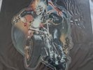 Rare Iron Maiden vinyl picture disc Infinite Dreams Recorded Birmingham NEC 1988