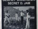 Secret Dimension 