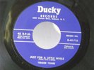 Tender Tones,Ducky 713,