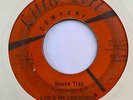 Mod Garage 45 LION & THE LEPRECHAUNS Mouse Trap/Two Miles Over & Back HEAR Rare
