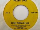 Sweet Soul/Deep Funk 45 PROJECT SOUL Sweet Things Of Life/Ebony HEAR Bay GRAIL