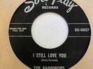 Doo Wop R&B 45 THE RAINDROPS I Still Love You/Baby It's Your Love Sotoplay RARE