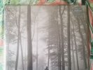 Taylor Swift folklore 