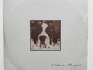 PLANET RHYTHM RECORDS ‎– PRRUKLP002 - ADAM BEYER ‎– RECODED - TECHNO - 1997