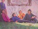 DAVE DEE, DOZY, BEAKY, MICK & TICH  - TIME TO TAKE OFF - Vinyl LP  Imperial - VG