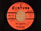 Doctor Ross & The Orbits Cat Squirrel/The Sunnyland CRAZY RARE  Orig Blues R&B