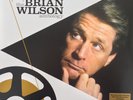 Brian Wilson - Playback (The Brian Wilson Anthology) (2xLP, Comp, 180) (Mint (M)