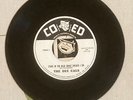 The Dee Cals 45 Stars in the Blue What Should I Do 1959 Doo Wop EX