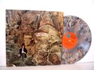 DAVE MASON 