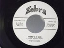 The Cruisers, Zebra 119,