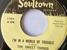 NORTHERN SOUL : THE SWEET THINGS - I'M IN A WORLD OF TROUBLE SOULTOWN RE NM / M-