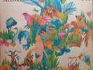 Krautrock LP - POPOL VUH - DAS HOHELIED SALOMOS - United Artists GER 1975 EX(+)