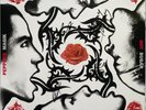 COA AUTOGRAPH Red Hot Chili Peppers 468348-1 VINYL LP  Signed