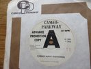 I (WHO HAVE NOTHING) - TERRY KNIGHT & THE PACKERS - UK CAMEO (BEN E. KING COVER)