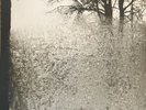 Bon Iver  For Emma Forever Ago Vinyl LP NEW