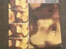 Moondance by Van Morrison Vinyl