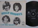 BEATLES Hello Goodbye SUPERB COND Denmark 45 danish I Am The Walrus HEAR