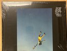 Yeah Yeah Yeahs - Cool It Down - VINYL - Latest LP - Brand New & Factory Sealed
