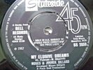 MOSES & JOSHUA DILLARD.MY ELUSIVE DREAMS.7
