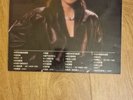 Teresa Teng 鄧麗君 15週年 2008 Hong Kong  2LP, See Description