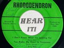 Hot WV Rockabilly Country Bop EP 45 GENE NITZ I Dont Know RHODODENDRON rite rare