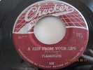 R&B DOOWOP-THE FLAMINGOS-A KISS FROM YOUR LIPS-CHECKER WEB