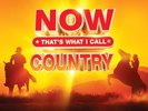 NOW Thats What I Call Country [VINYL]