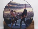 Skid Row Wasted Time Picture Disc 12