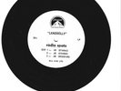 RADIO SPOT ANNOUCEMENTS  33 1/3 RPM   