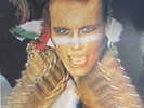 SIGNED BY ADAM AND THE ANTS - INGS OF THE WILD FRONTIER - LP JSA COA VG+ Cond