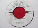 SY HIGHTOWER   I WONDER WHY - HAYLEY RECORDS - DEMO