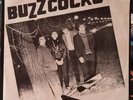 Buzzcocks Razor Cuts Clear Vinyl White Labels/Insert 1980 Compilation 16 Live ℹ️