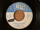 The Rovin Flames  I'm Afraid To Go Home/I Can't RARE  Florida Garage 1966 Boss