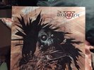 Protector   /   Urm Me Mad   original LP,  von 1989