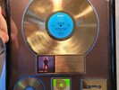 RIAA Certified Joe Satriani FLYING IN A BLUE DREAM 500k SOLD AWARD TISHA FEIN LP