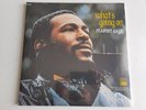 MARVIN GAYE - WHAT'S GOING ON - LP 33 GIRI - 12