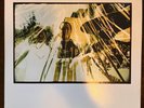 Pelt - Empty Bell Ringing In the Sky Vinyl LP Jack Rose