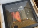 ALICE IN CHAINS Jars of Flies Limited Edition Box Set Tri Color Vinyl In hand 30