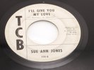 Northern Soul 45 SUE ANN JONES I'll Give You My Love TCB Detroit DAVE HAMILTON