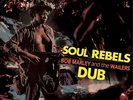 Bob Marley & The Wailers - Soul Rebels DUB (PURPLE VINYL)