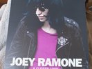 JOEY RAMONE - A CLOSER LOOK COLLABORATIONS COMP w/ HOLLY & THE ITALIANS SLD LP