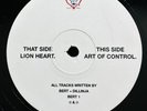 Bert & Dillinja - Lion Heart / Art Of Control - Rare Jungle Drum & Bass Record