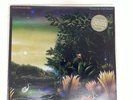 Tango In The Night Vinyl | Fleetwood Mac | 1987 | Warner Bros (R1) NS#8641
