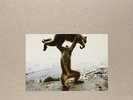 Shellac - Dude Incredible LP - vinyl NEW