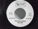 The Wild Ones,UA 947,