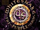 Whitesnake - The Purple Album: Special Gold  (Vinyl 2LP - 2023 - EU - Original)