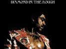 Syl Johnson - Diamond In The Rough - New (Vinyl) LP Sealed