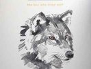 Passenger The Boy Who Cried Wolf NEAR MINT Black Crow Records Vinyl LP