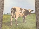 Pink Floyd - Atom Heart Mother - Harvest label vinyl - VG+/VG+
