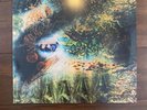 Pink Floyd - A Saucerful Of Secrets Vinyl LP